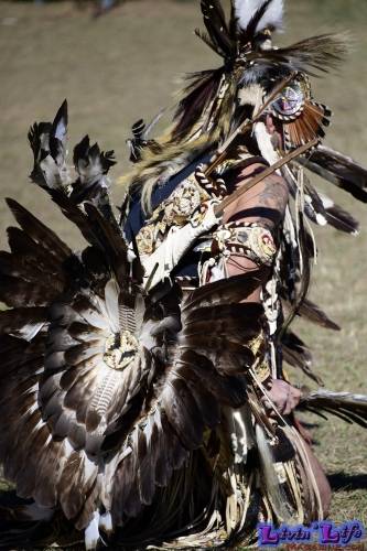 Brooksville Native American Festival 2020