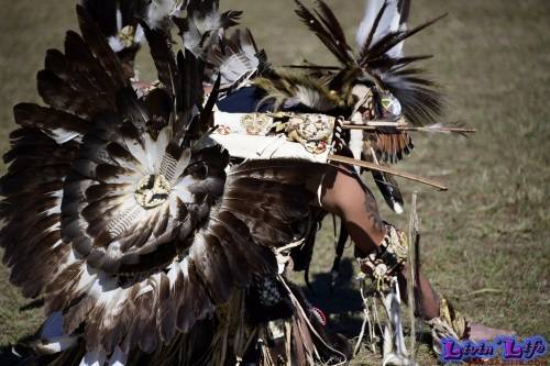 Brooksville Native American Festival 2020