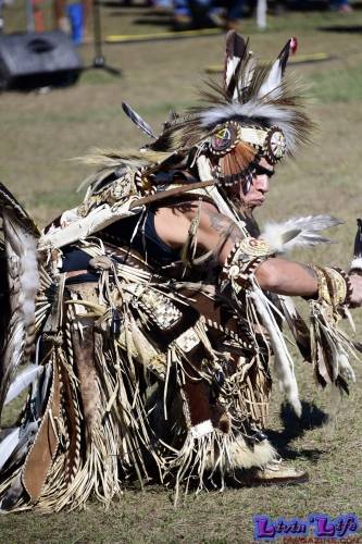 Brooksville Native American Festival 2020