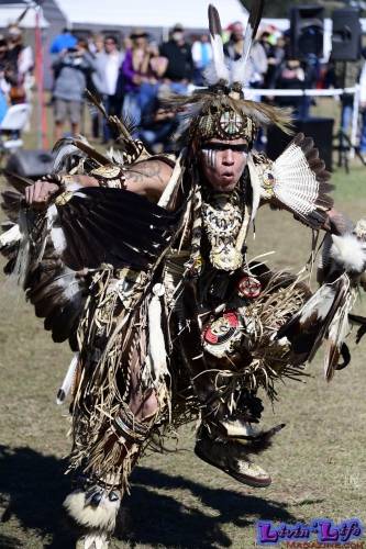 Brooksville Native American Festival 2020
