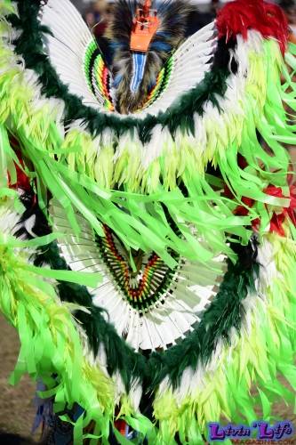 Brooksville Native American Festival 2020
