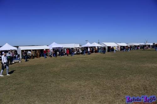 Brooksville Native American Festival 2020