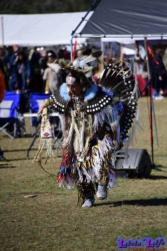 Brooksville Native American Festival 2020