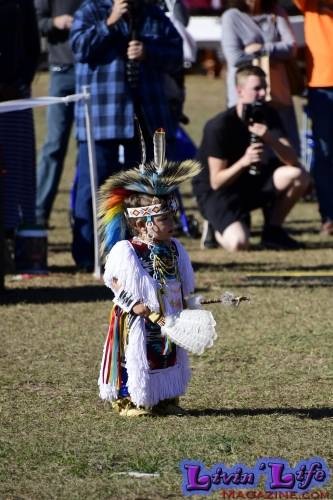 Brooksville Native American Festival 2020