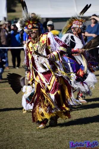 Brooksville Native American Festival 2020