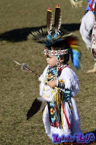 Brooksville Native American Festival 2020