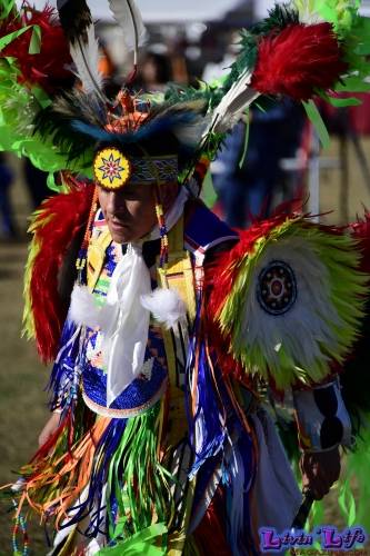 Brooksville Native American Festival 2020