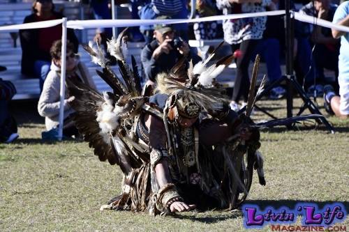 Brooksville Native American Festival 2020