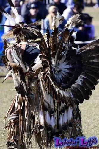 Brooksville Native American Festival 2020