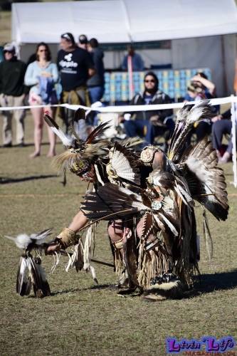 Brooksville Native American Festival 2020