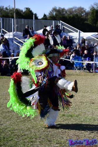 Brooksville Native American Festival 2020
