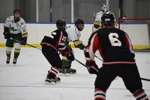 College Hockey -  UT Spartans v USF Bulls (1-20-2018)