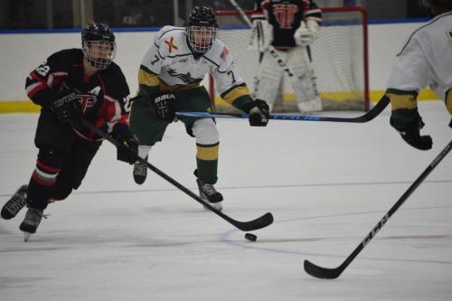 College Hockey -  UT Spartans v USF Bulls (1-20-2018)