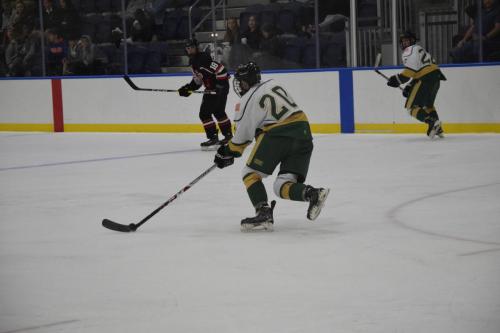 College Hockey -  UT Spartans v USF Bulls (1-20-2018)