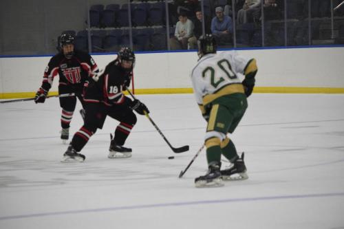 College Hockey -  UT Spartans v USF Bulls (1-20-2018)