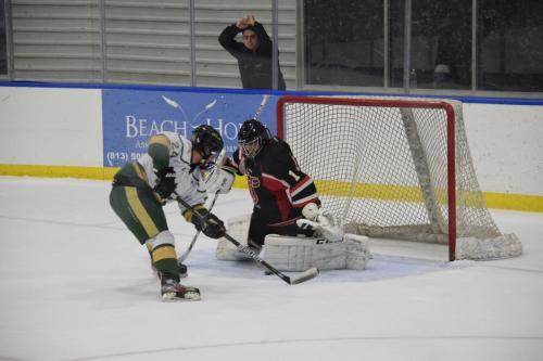 College Hockey -  UT Spartans v USF Bulls (1-20-2018)