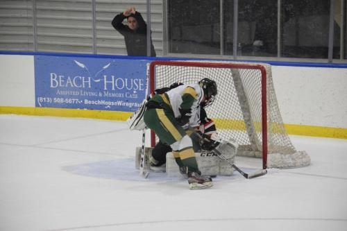 College Hockey -  UT Spartans v USF Bulls (1-20-2018)