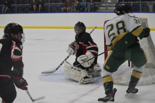 College Hockey -  UT Spartans v USF Bulls (1-20-2018)