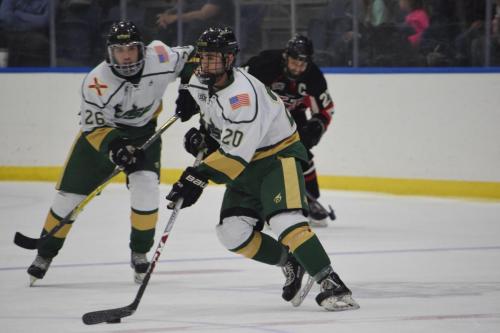 College Hockey -  UT Spartans v USF Bulls (1-20-2018)