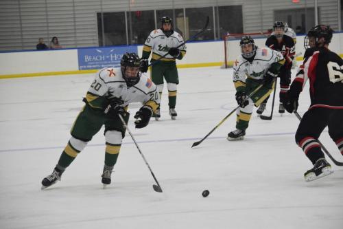 College Hockey -  UT Spartans v USF Bulls (1-20-2018)