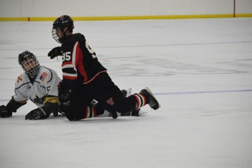 College Hockey -  UT Spartans v USF Bulls (1-20-2018)