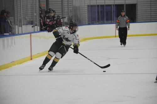 College Hockey -  UT Spartans v USF Bulls (1-20-2018)