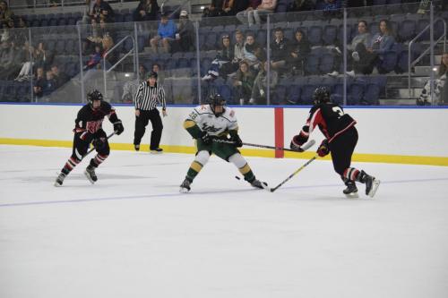 College Hockey -  UT Spartans v USF Bulls (1-20-2018)