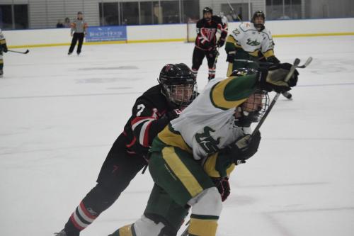 College Hockey -  UT Spartans v USF Bulls (1-20-2018)