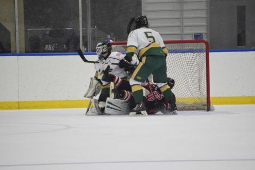 College Hockey -  UT Spartans v USF Bulls (1-20-2018)