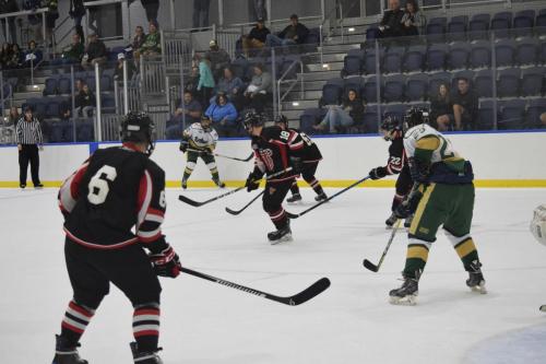 College Hockey -  UT Spartans v USF Bulls (1-20-2018)