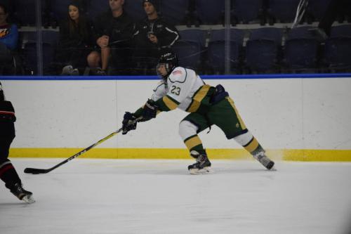 College Hockey -  UT Spartans v USF Bulls (1-20-2018)