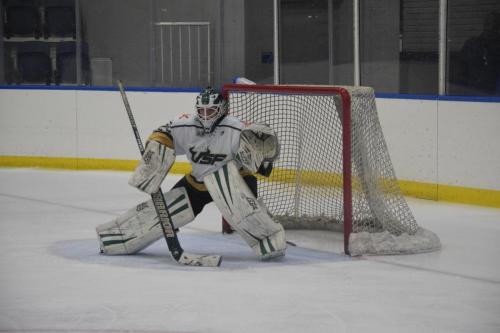 College Hockey -  UT Spartans v USF Bulls (1-20-2018)