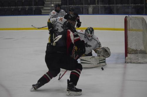 College Hockey -  UT Spartans v USF Bulls (1-20-2018)