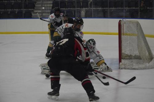 College Hockey -  UT Spartans v USF Bulls (1-20-2018)