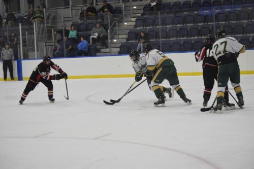 College Hockey -  UT Spartans v USF Bulls (1-20-2018)