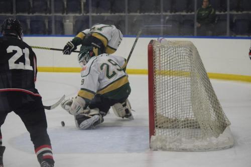 College Hockey -  UT Spartans v USF Bulls (1-20-2018)