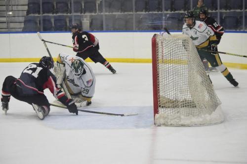 College Hockey -  UT Spartans v USF Bulls (1-20-2018)