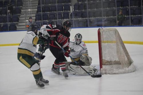 College Hockey -  UT Spartans v USF Bulls (1-20-2018)