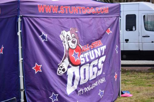 Dog Show at the 4th Annual Bradenton Area River Regatta