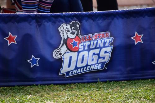 Dog Show at the 4th Annual Bradenton Area River Regatta