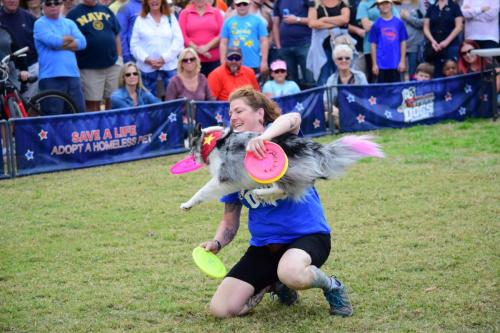 Dog Show at the 4th Annual Bradenton Area River Regatta