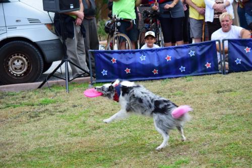 Dog Show at the 4th Annual Bradenton Area River Regatta