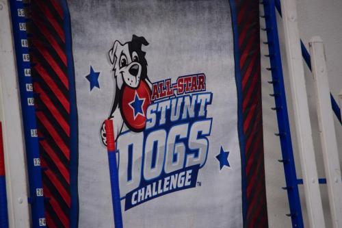 Dog Show at the 4th Annual Bradenton Area River Regatta
