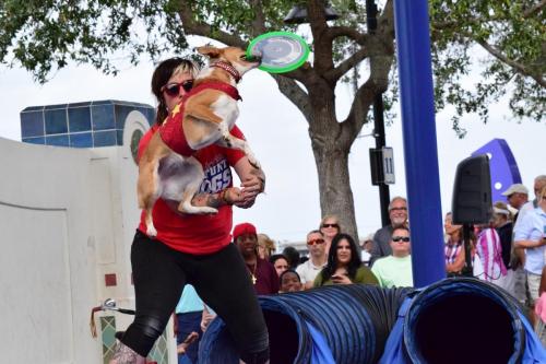 Dog Show at the 4th Annual Bradenton Area River Regatta