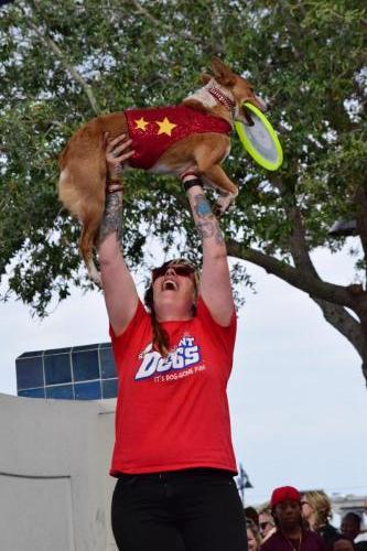 Dog Show at the 4th Annual Bradenton Area River Regatta