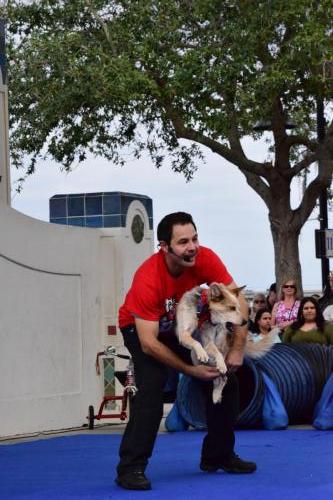 Dog Show at the 4th Annual Bradenton Area River Regatta