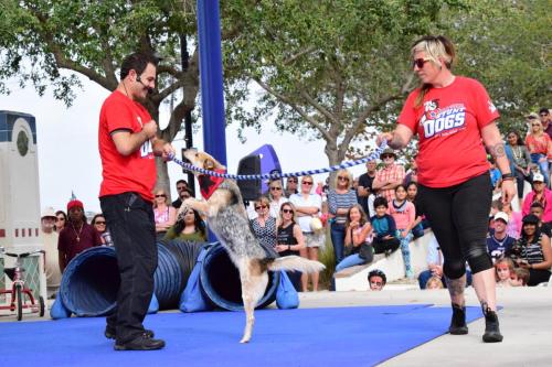 Dog Show at the 4th Annual Bradenton Area River Regatta
