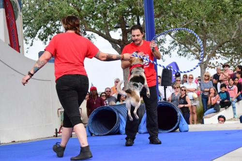 Dog Show at the 4th Annual Bradenton Area River Regatta