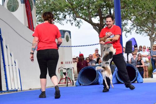 Dog Show at the 4th Annual Bradenton Area River Regatta