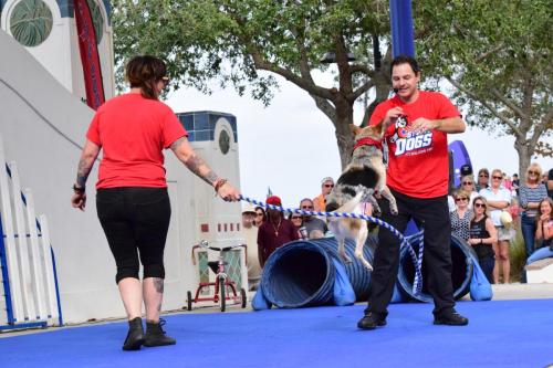 Dog Show at the 4th Annual Bradenton Area River Regatta